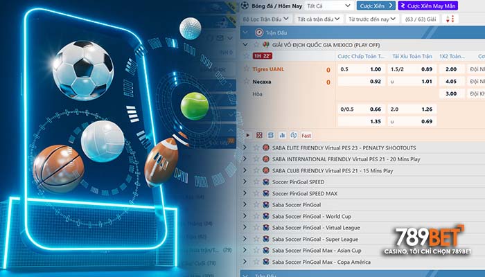 Cá cược tất cả bộ môn thể thao hấp dẫn tại Thể Thao 789BET