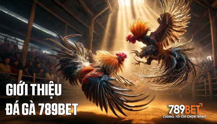 Đá Gà 789BET sân chơi đá gà trực tuyến hàng đầu Việt Nam