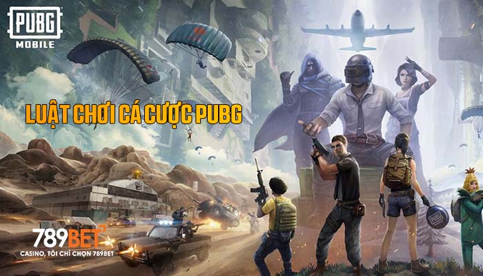 Luật chơi cá cược PUBG tại 789BET
