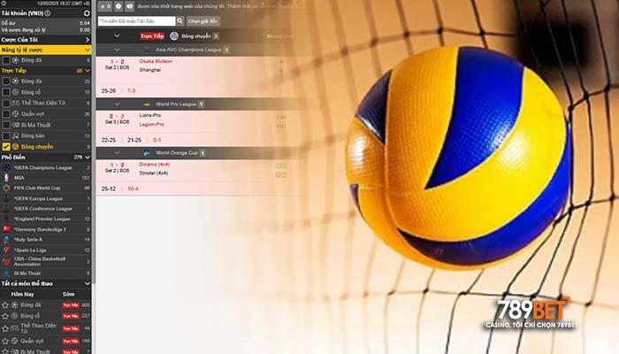 Luật chơi cá cược bóng chuyền tại 789BET