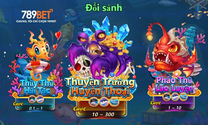 Các sảnh cược trong Cướp Biển Đi Câu
