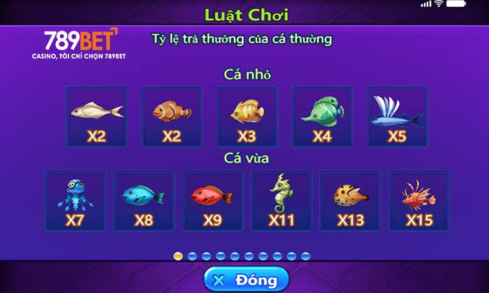 Hệ thống mục tiêu đa dang của Cướp Biển Đi Câu